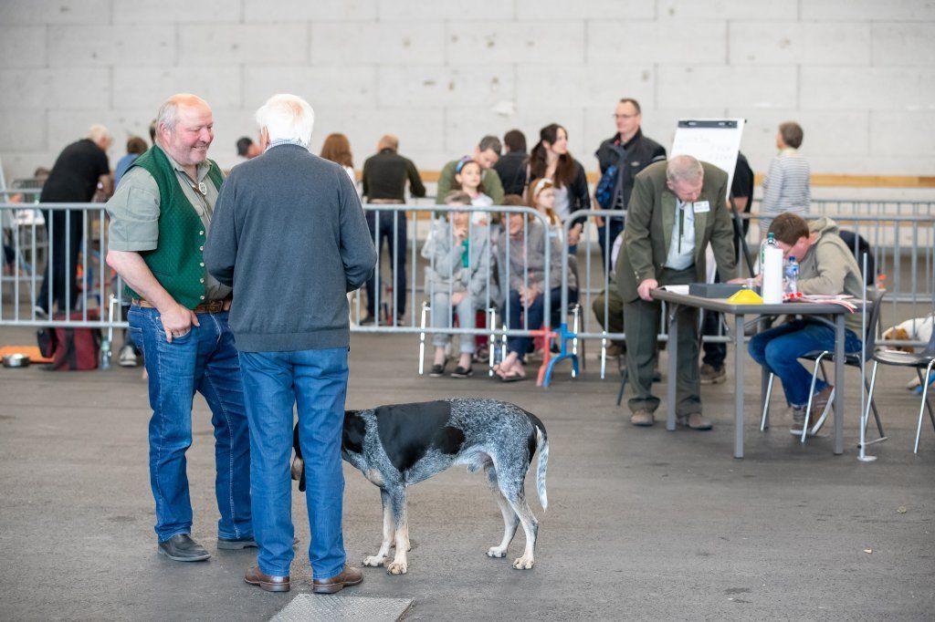 Groupement romand du club suisse du chien courant