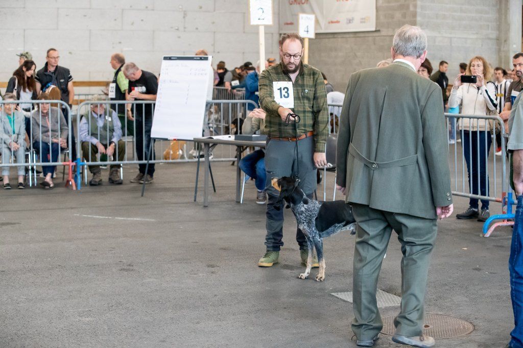 Groupement romand du club suisse du chien courant