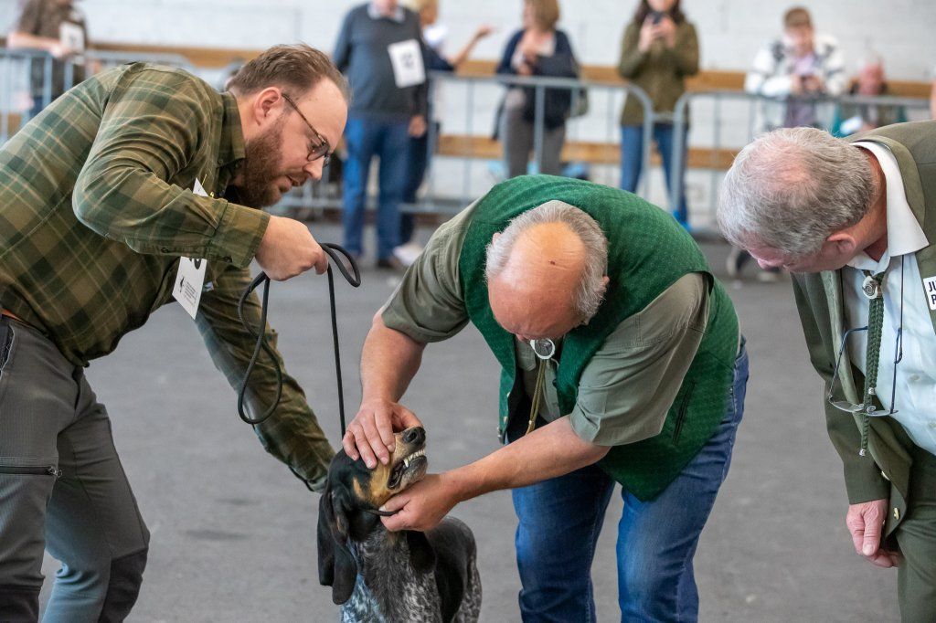 Groupement romand du club suisse du chien courant