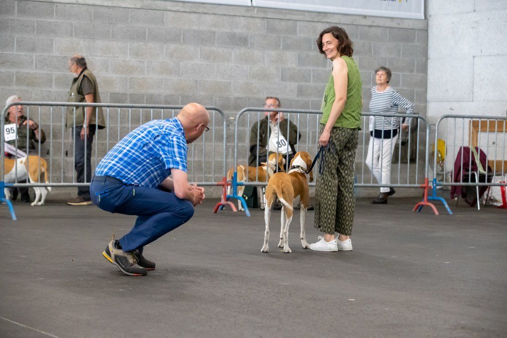 Groupement romand du club suisse du chien courant