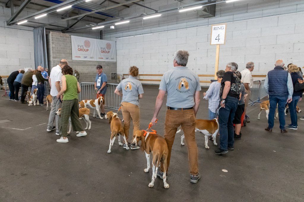 Groupement romand du club suisse du chien courant