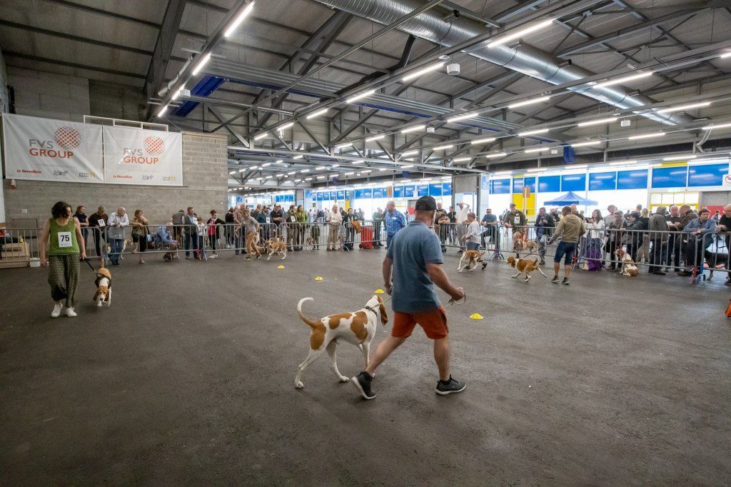 Groupement romand du club suisse du chien courant