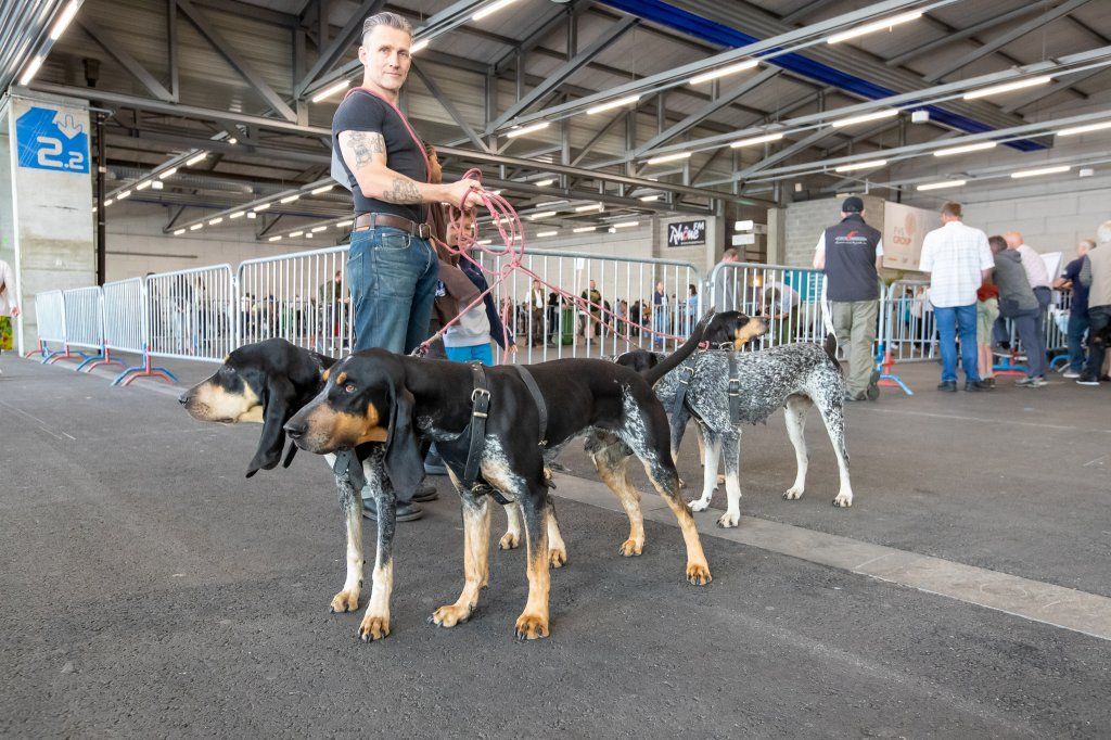 Groupement romand du club suisse du chien courant