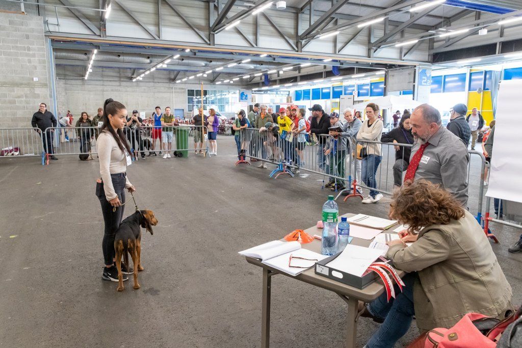 Groupement romand du club suisse du chien courant