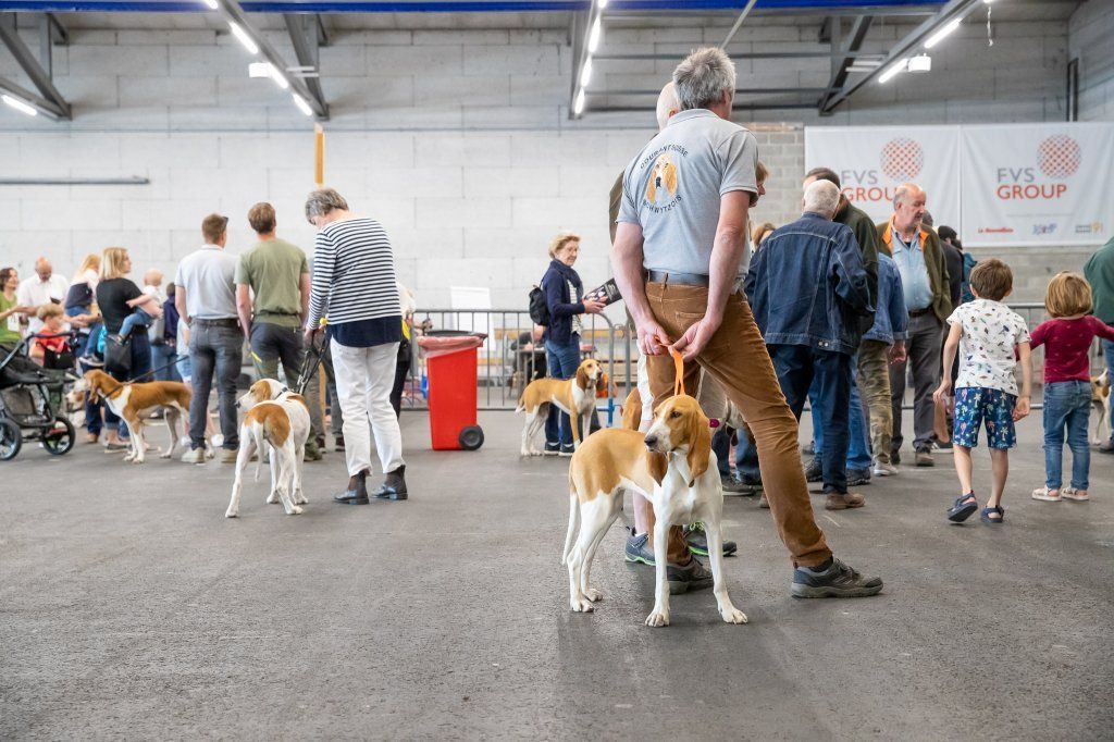 Groupement romand du club suisse du chien courant