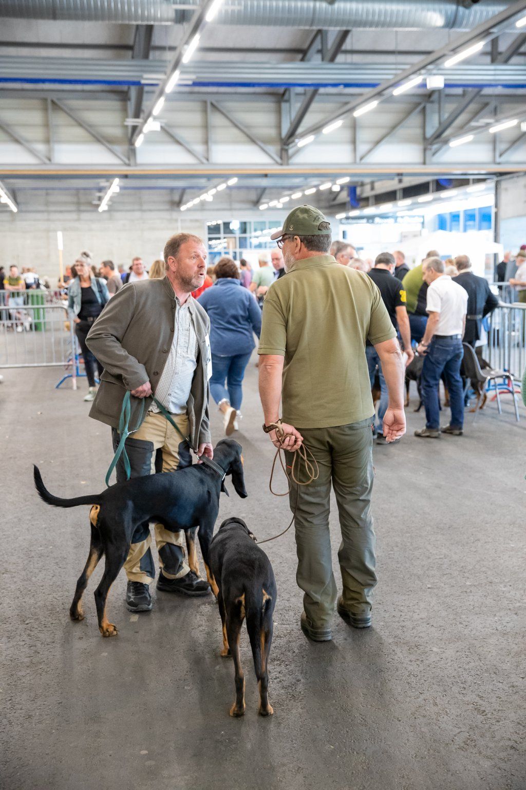 Groupement romand du club suisse du chien courant