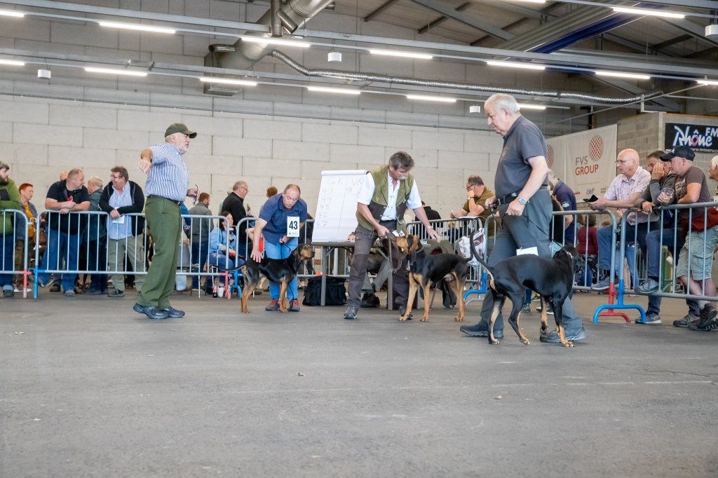 Groupement romand du club suisse du chien courant