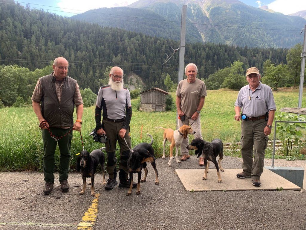 Groupement romand du club suisse du chien courant