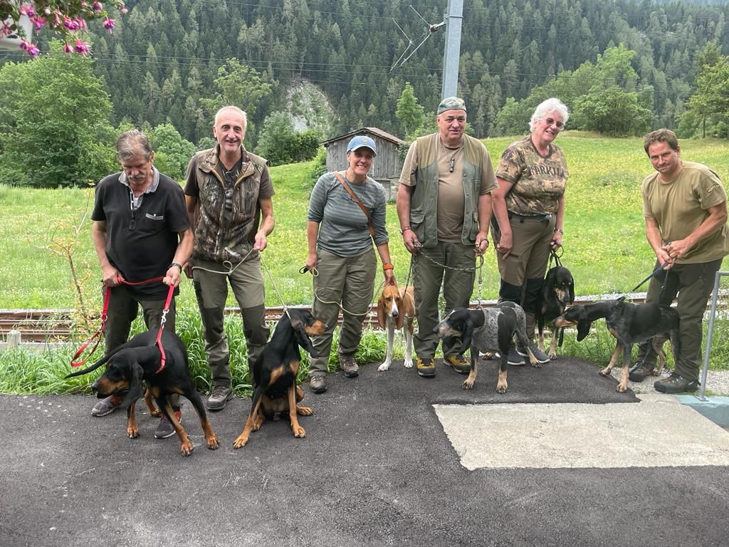 Groupement romand du club suisse du chien courant
