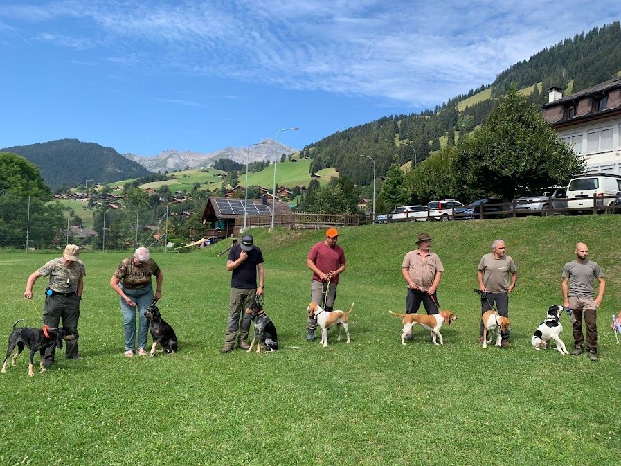 Groupement romand du club suisse du chien courant