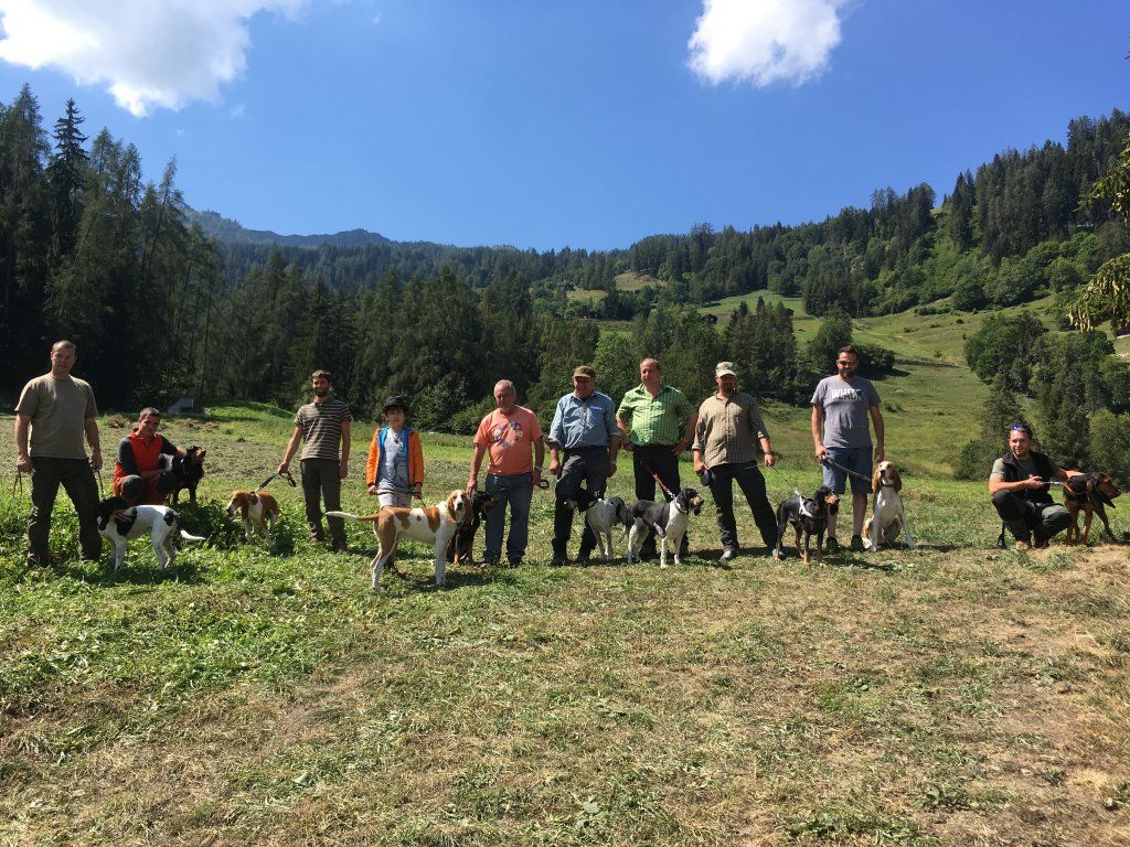 Groupement romand du club suisse du chien courant