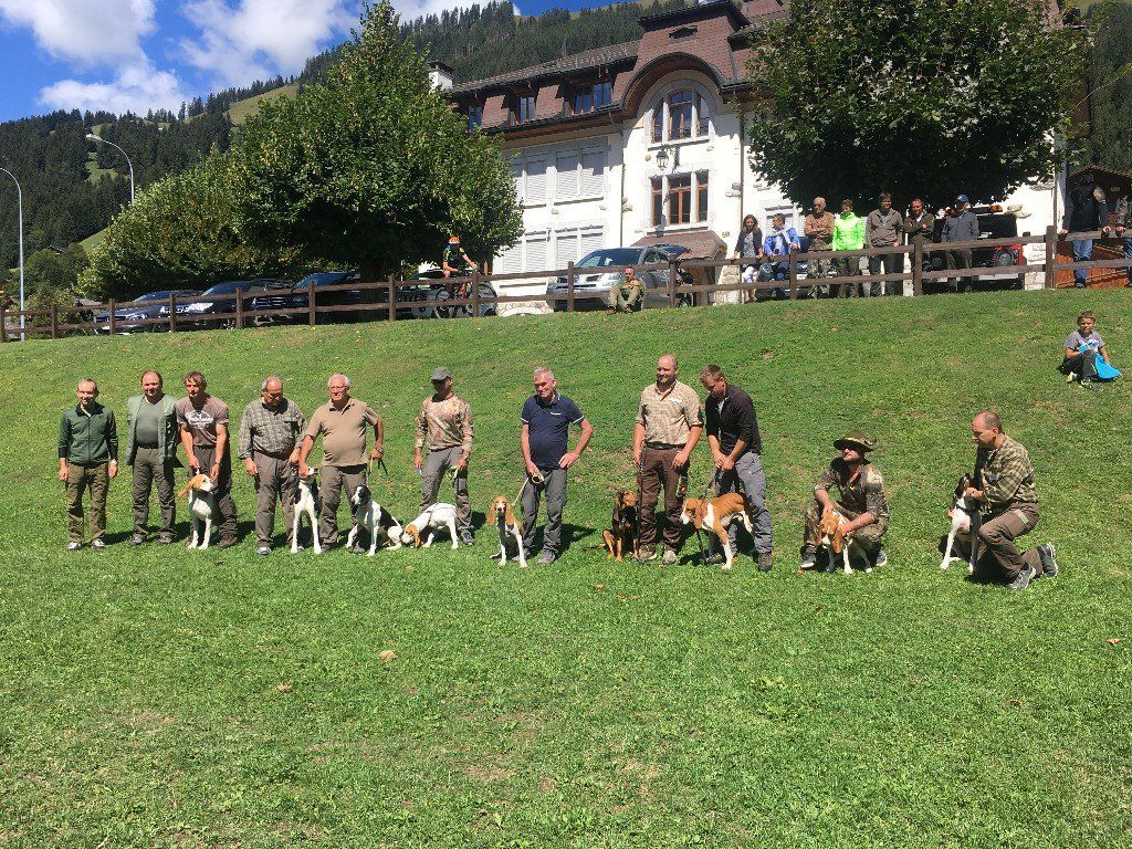 Groupement romand du club suisse du chien courant
