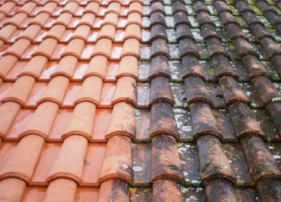 Avant et après un démoussage