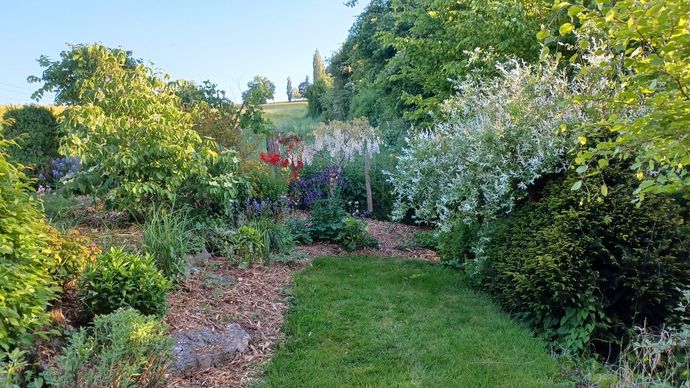 Un jardin
