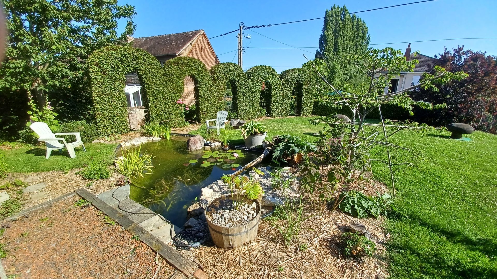 Jardin avec étang et arbustes en forme d'arche