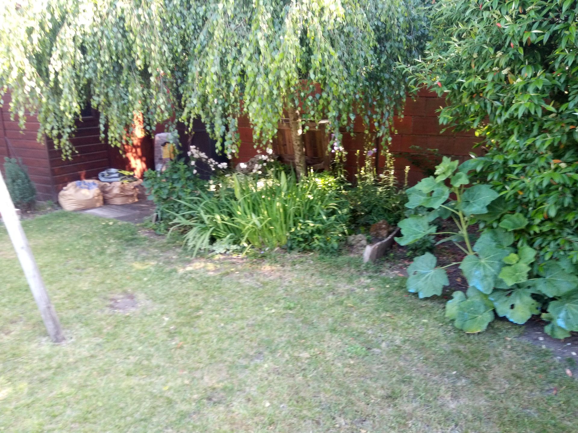 Parterre de fleurs sous un arbre