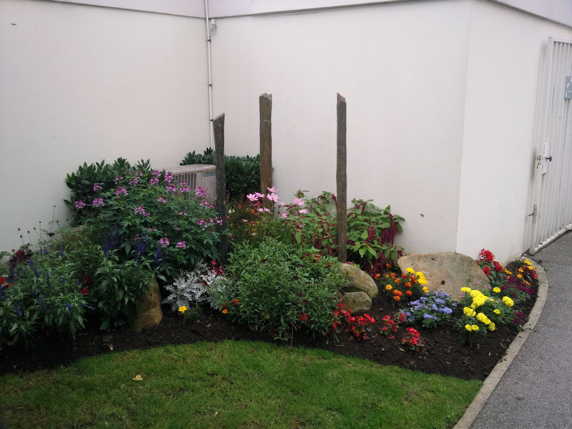 Un parterre de fleurs