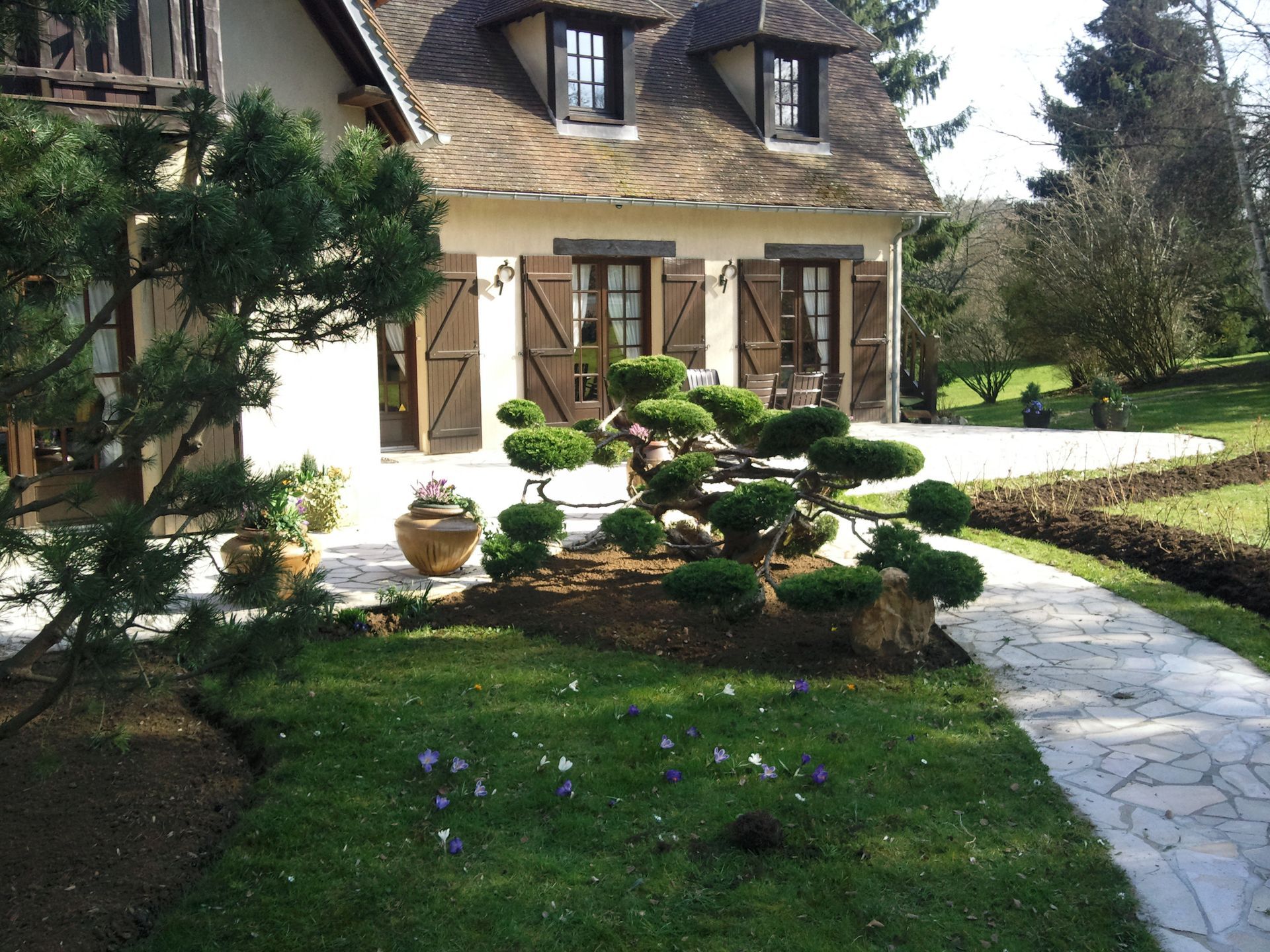 Maison avec arbustes