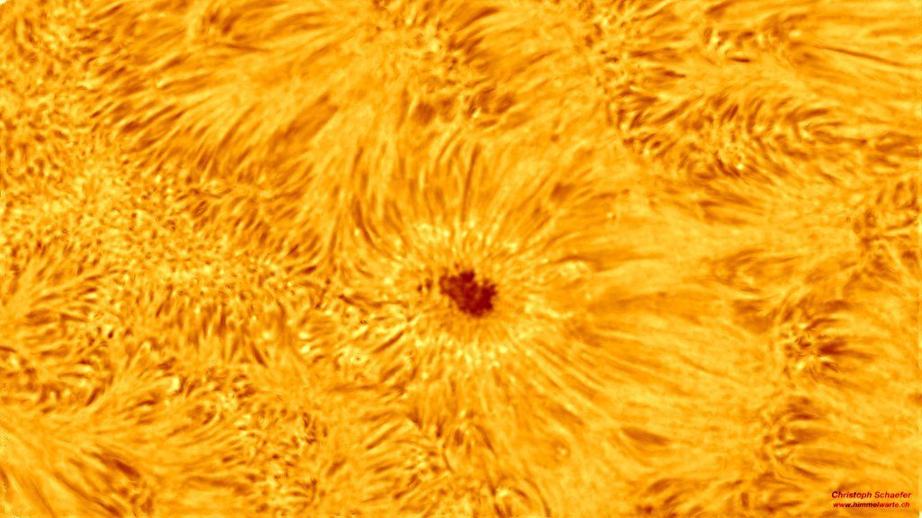 Sun
