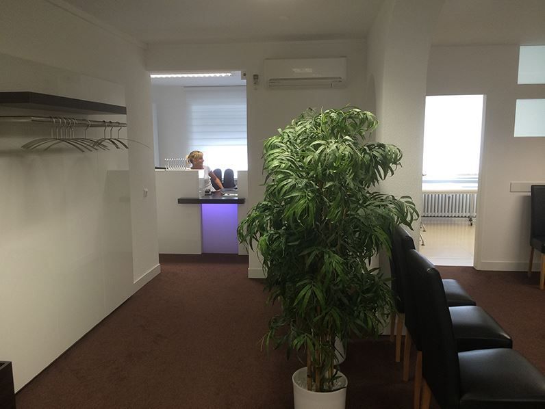 Leeres Büro mit weißen Wänden, braunem Teppichboden, einer Topfpflanze und schwarzen Stühlen an den Fenstern.