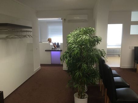 Leeres Büro mit weißen Wänden, braunem Teppichboden, einer Topfpflanze und schwarzen Stühlen an den Fenstern.