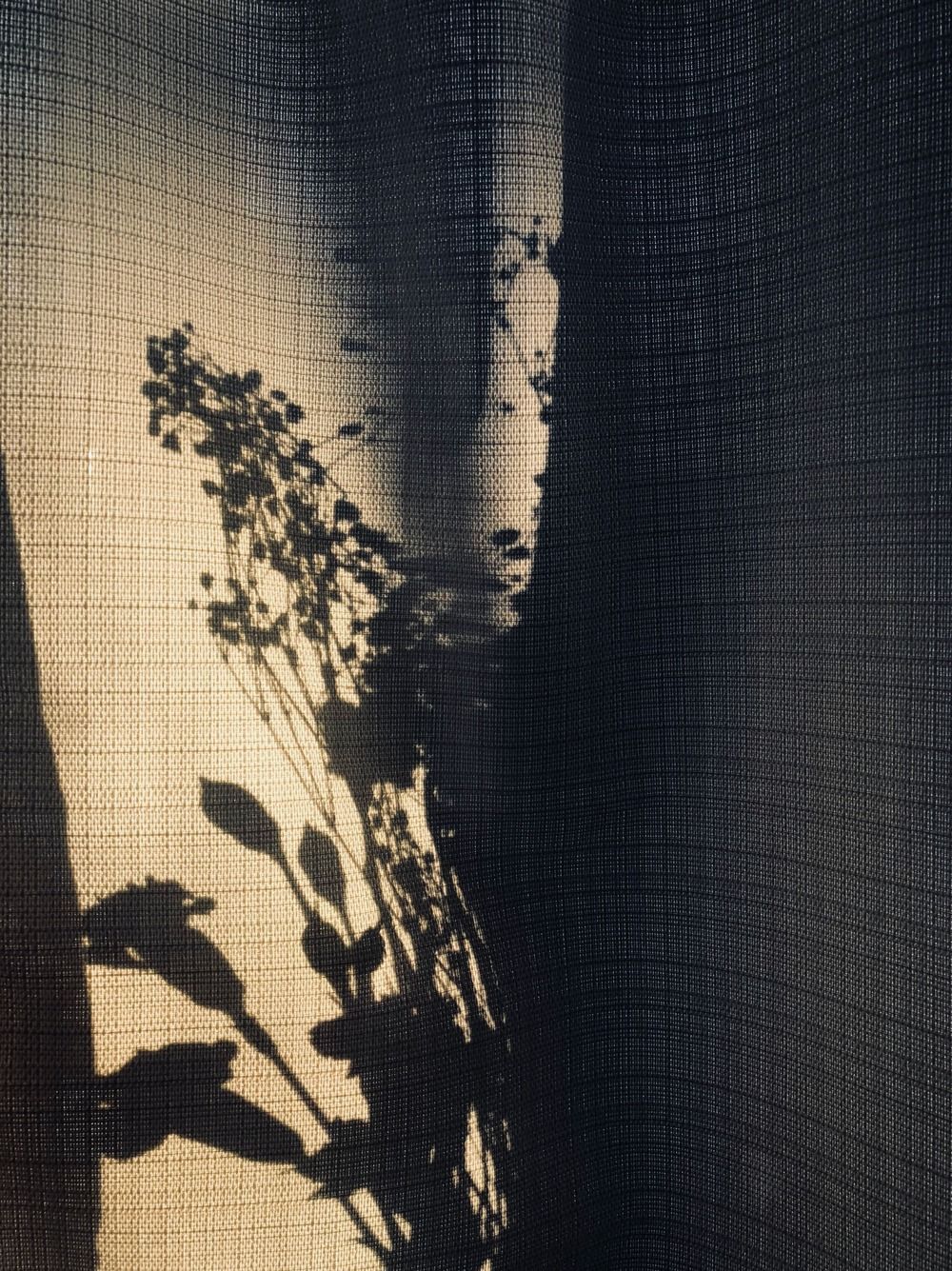 L'ombre d'une plante feuillue sur un rideau transparent, éclairée par la chaude lumière du soleil.