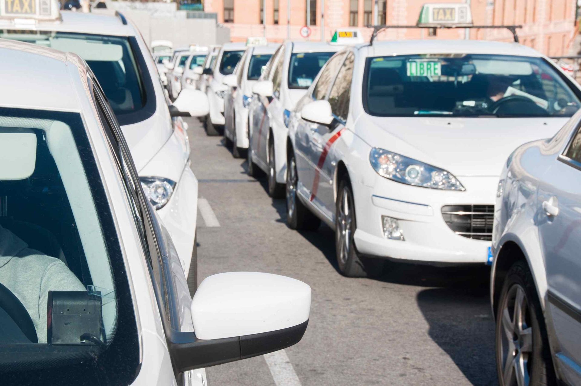 Una fila de coches blancos están estacionados al costado de la carretera.