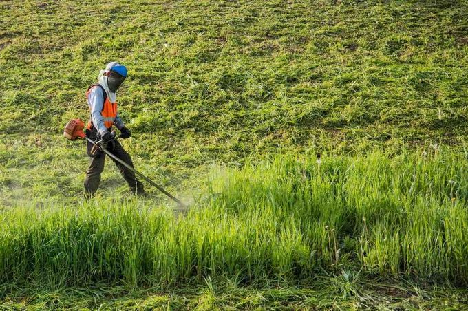Un trabajador utiliza una desbrozadora en una ladera cubierta de hierba, rociando con agua el césped cortado.