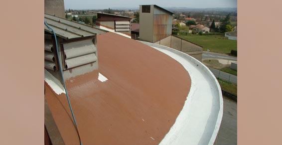 Démoussage - imperméabilisation dime béton