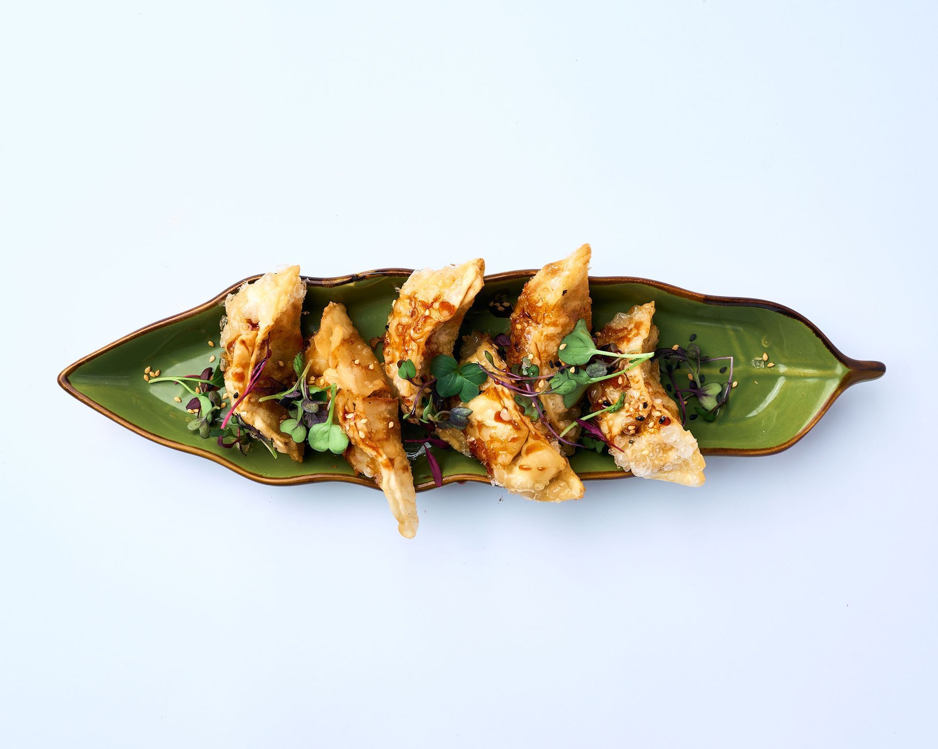 Un plato blanco cubierto con pollo y cebollas verdes sobre una mesa.