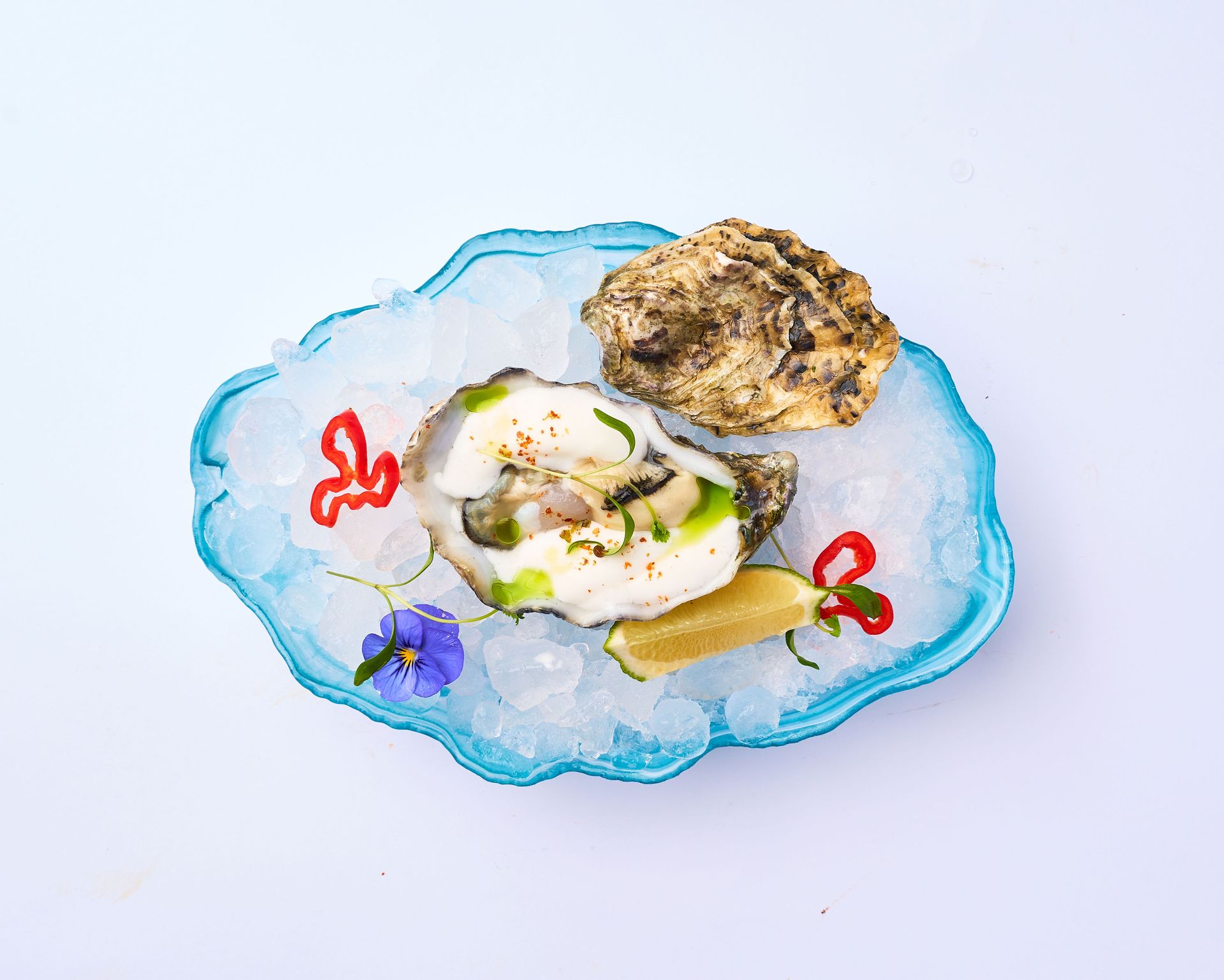 Un plato de comida con ostras, pimientos, limones y salsa sobre hielo.