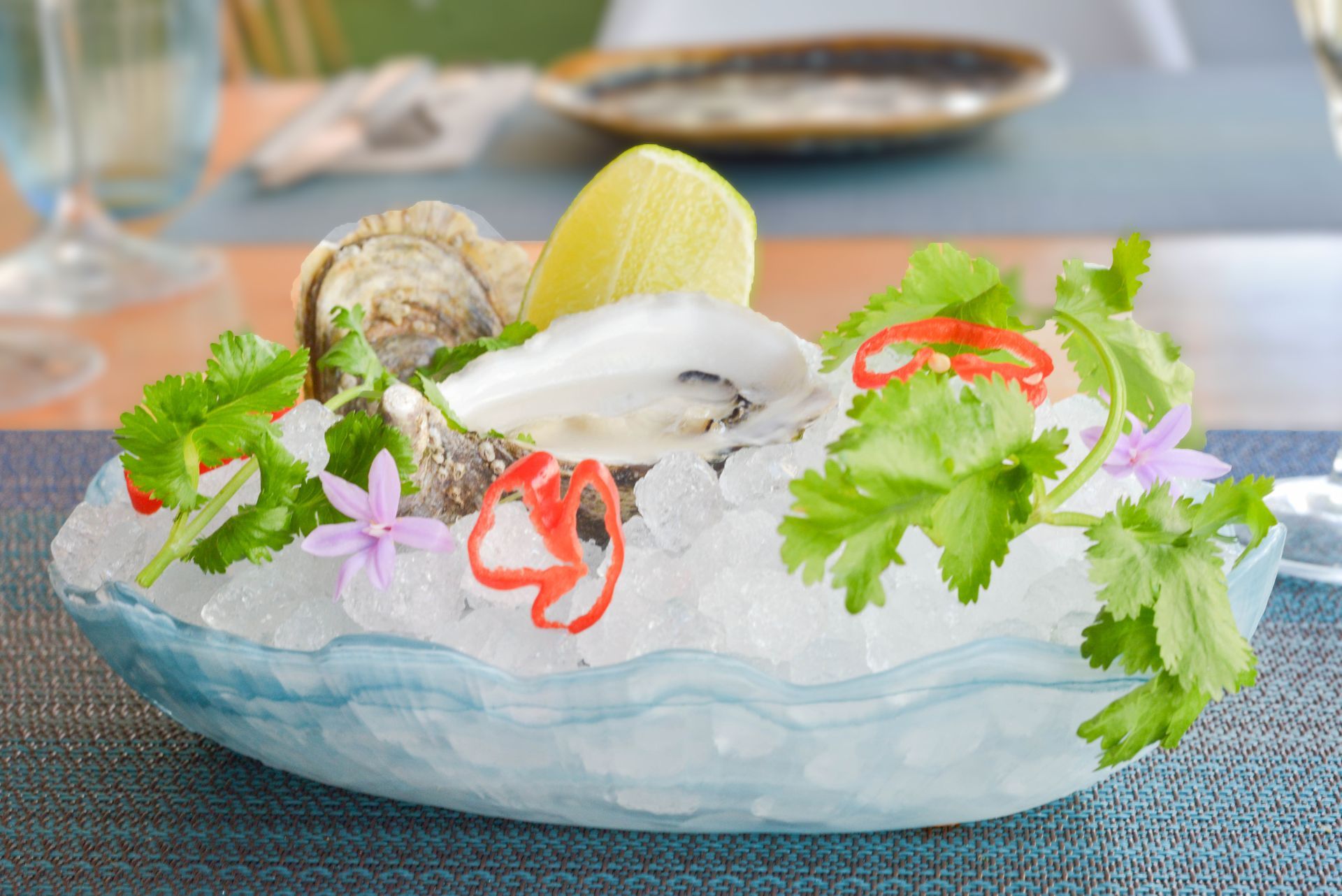 Un plato de comida con ostras, pimientos, limones y salsa sobre hielo.