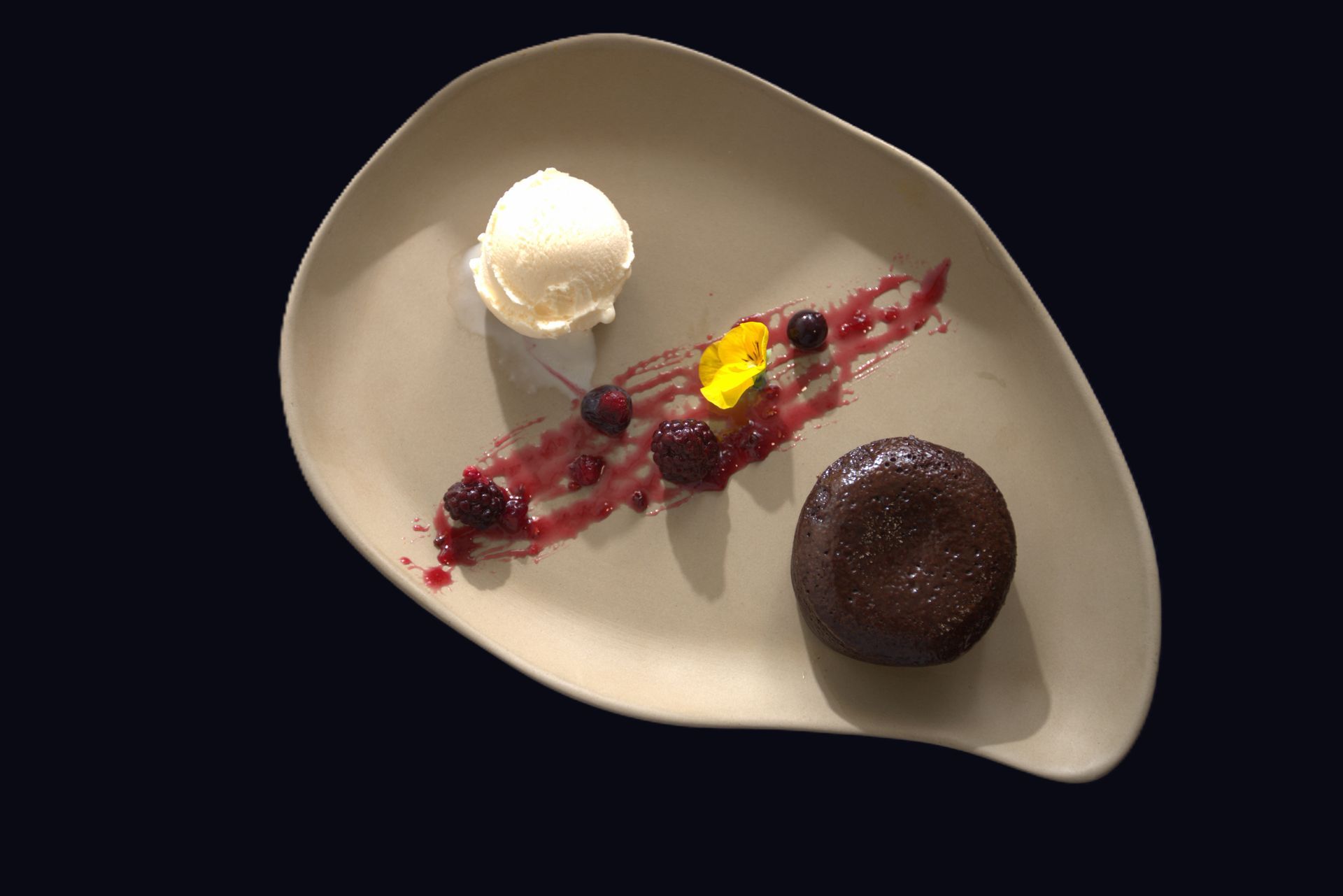 Un plato blanco cubierto con un pastel de chocolate, helado y bayas.