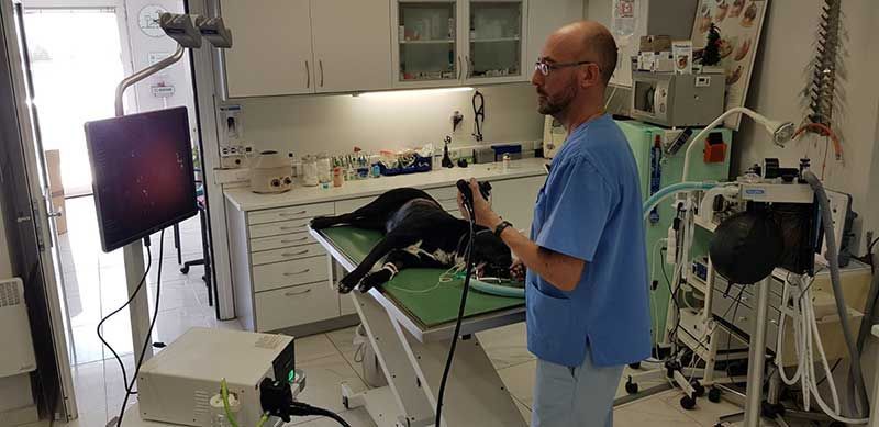 Κτηνιατρείο Σώρος Χρήστος