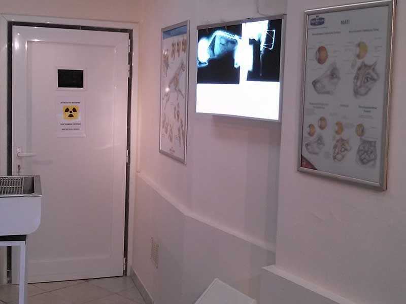 Κτηνιατρείο Σώρος Χρήστος