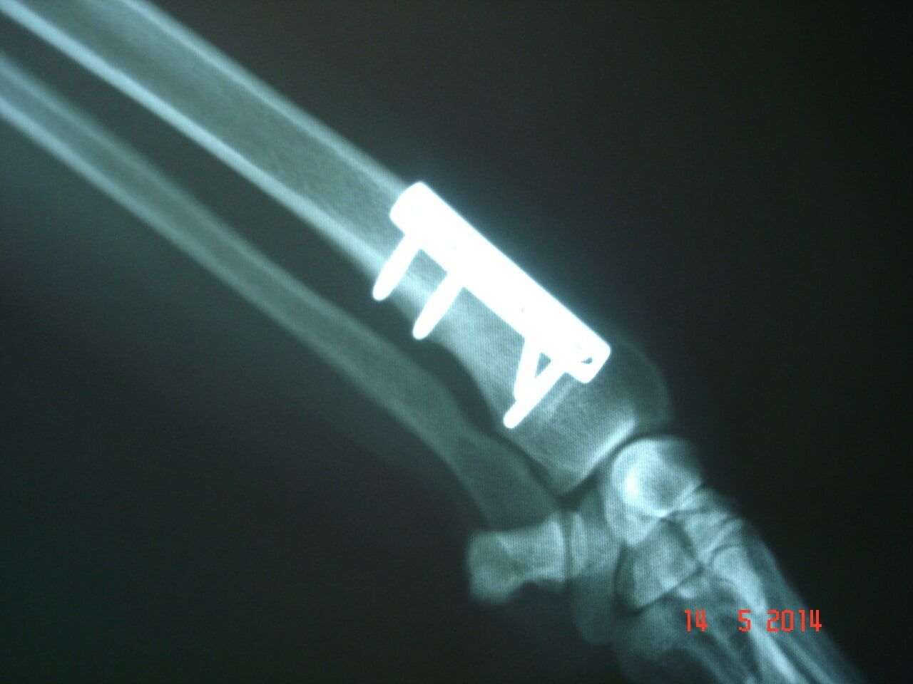 Κτηνιατρείο Σώρος Χρήστος