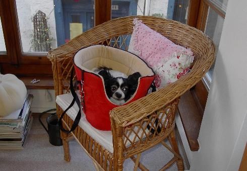 14. Treffen 15. November 2008