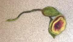 Für die elegante Dame.