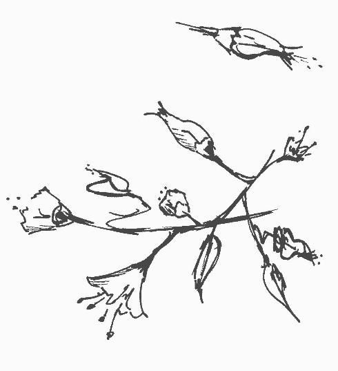 Projekt Trägerrock: