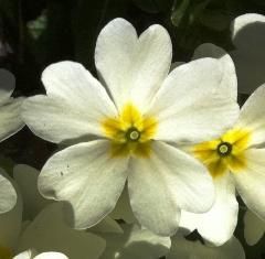 Kreativtage Sommer 2012