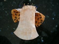 Kreativtage Frühling 2010