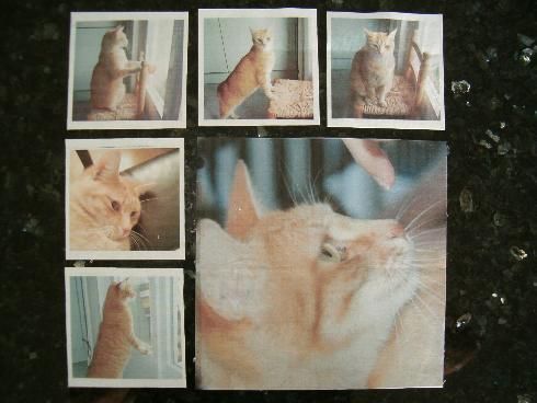 Kennenlernen von verschiedenen Techniken