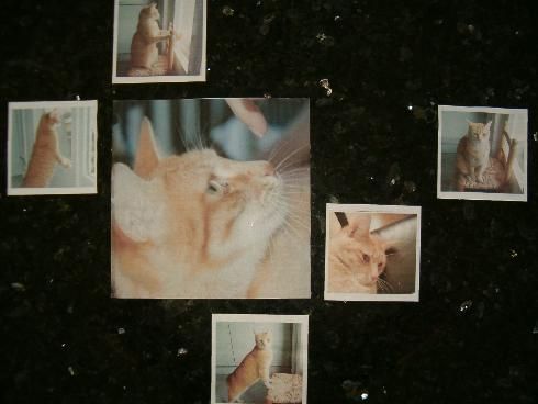 Kennenlernen von verschiedenen Techniken