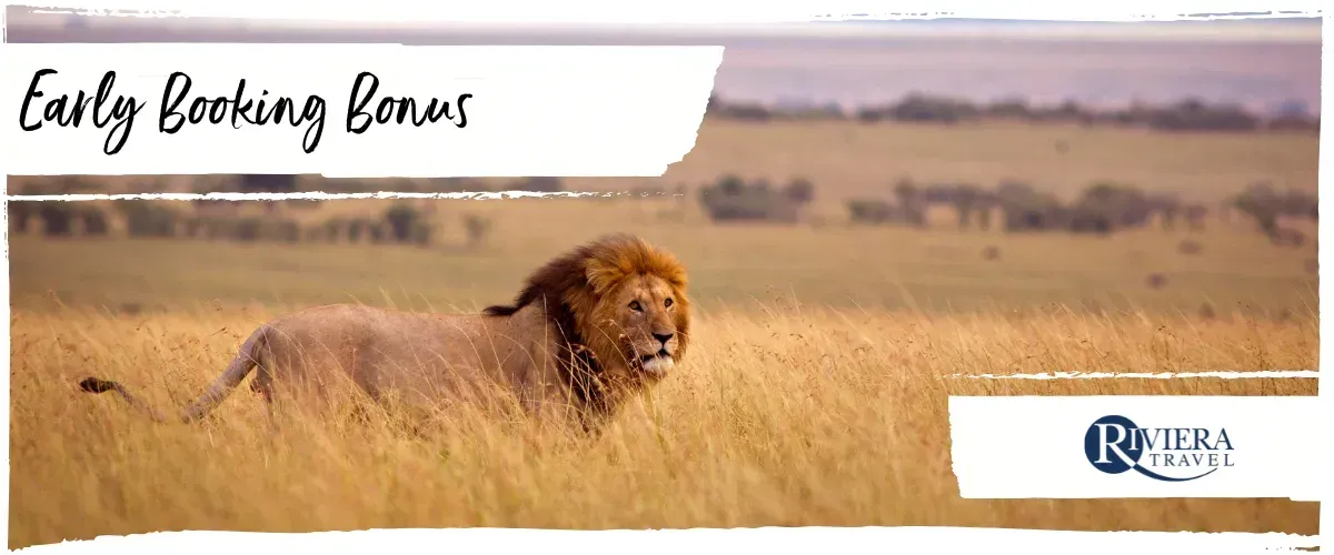 Cosmos Tours & Adventure Holidays
