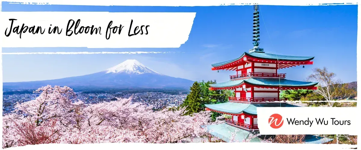 Cosmos Tours & Adventure Holidays

