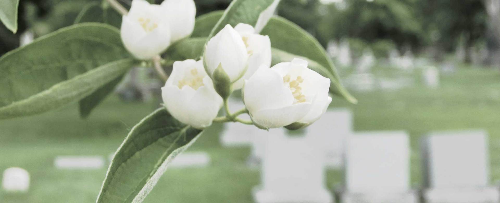 Hämeenkyrön Hautaustoimisto Mäkipää