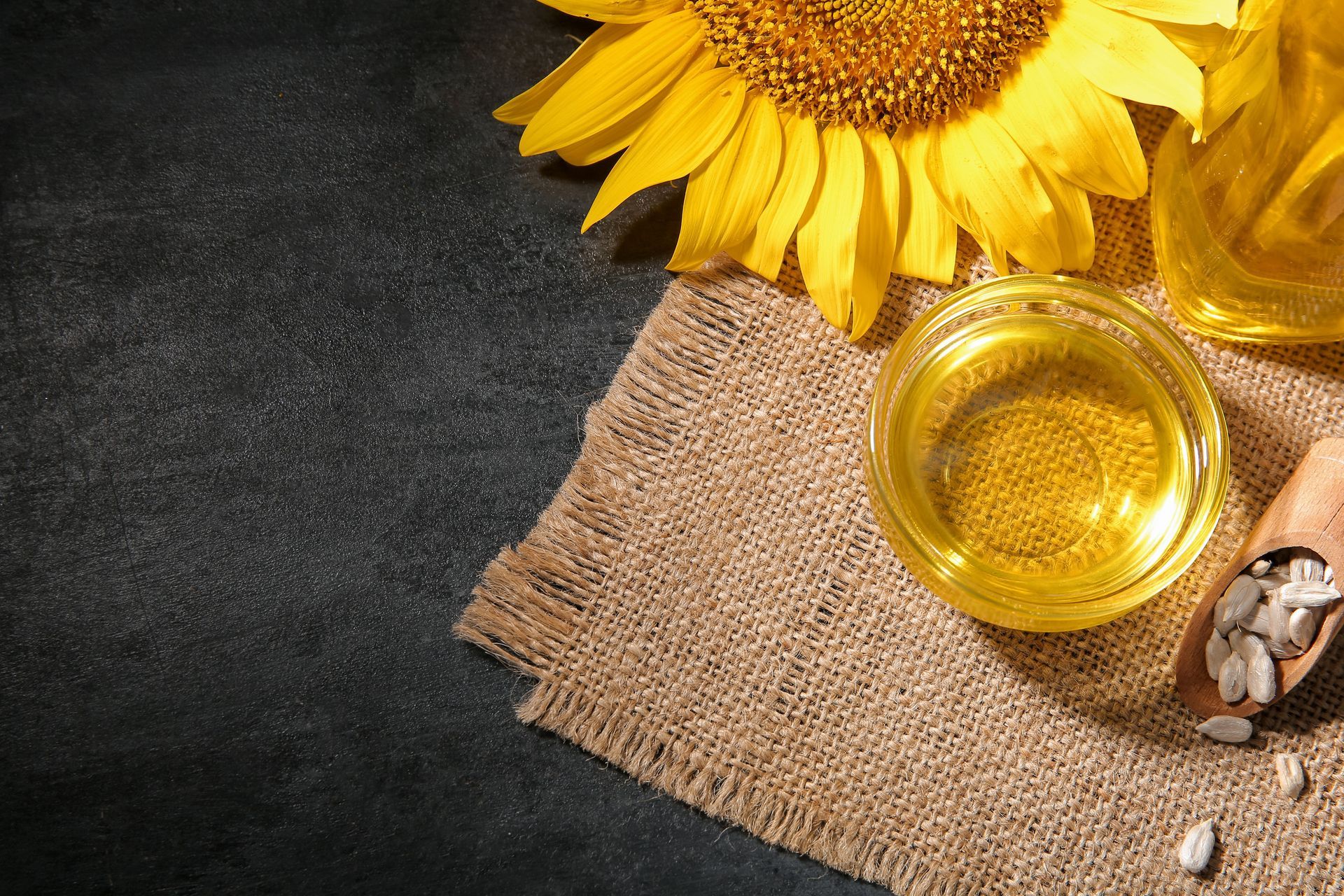 Girasol, aceite y semillas sobre tela de arpillera sobre fondo oscuro.