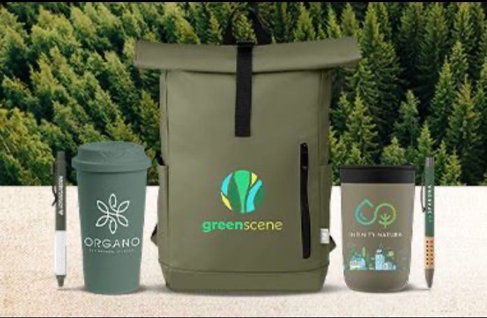 Lunch box avec un buritto et des myrtilles