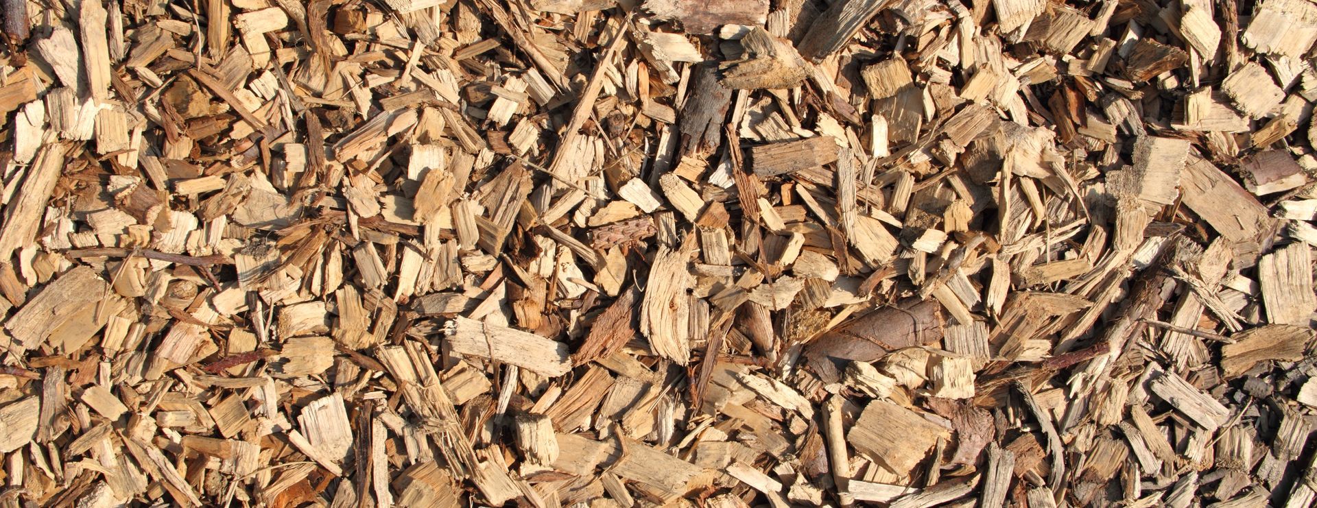 Copeaux de bois en vrac
