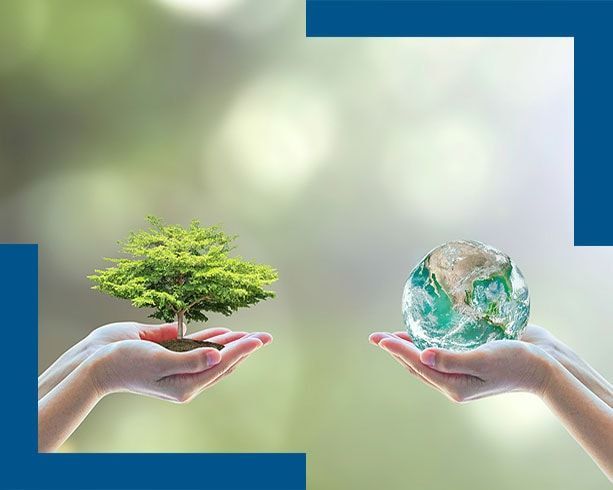 Deux paires de mains, l'une soutenant un arbre et l'autre la planète Terre sur fond de végétation